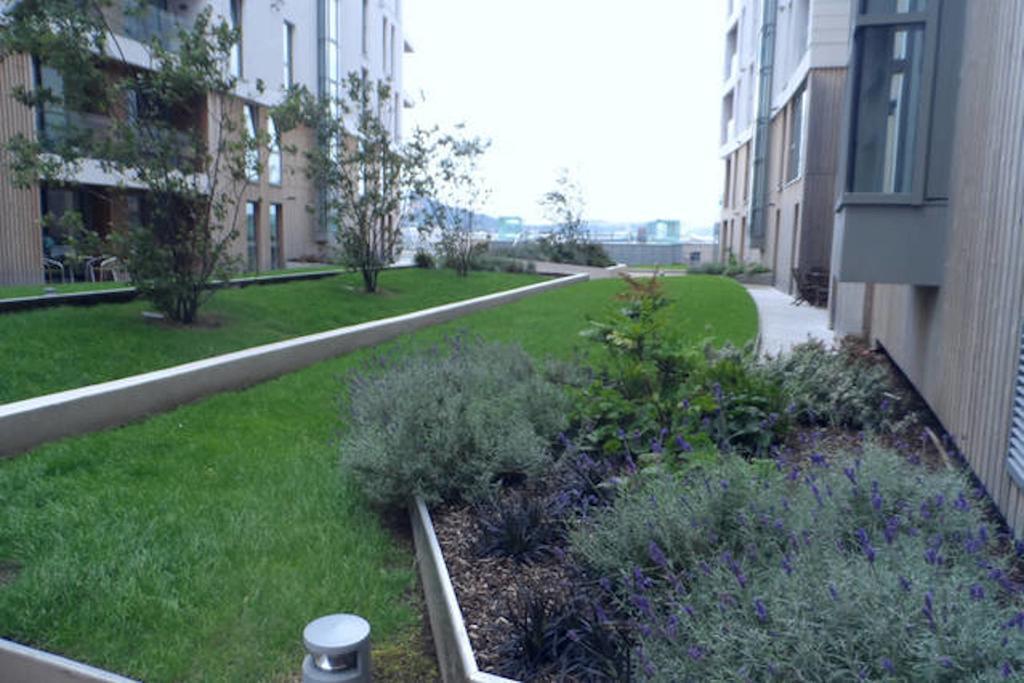 Ck Serviced Apartments Belfast Eksteriør billede